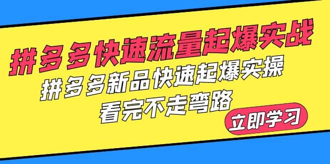 拼多多-快速流量起爆实战，拼多多新品快速起爆实操，看完不走弯路网创吧-网创项目资源站-副业项目-创业项目-搞钱项目恒杨云站