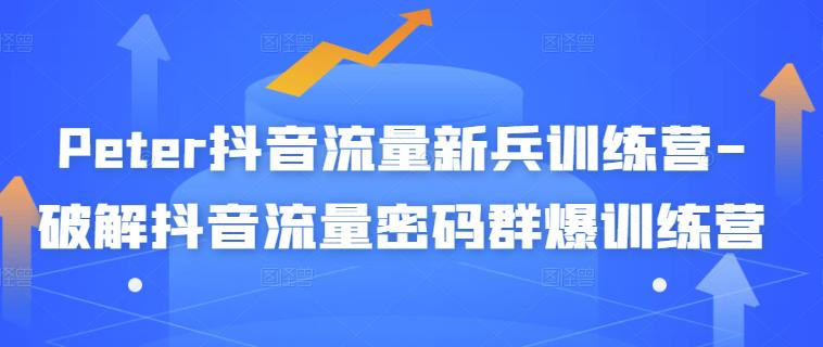 Peter抖音流量新兵训练营-破解抖音流量密码群爆训练营（新兵）网创吧-网创项目资源站-副业项目-创业项目-搞钱项目恒杨云站