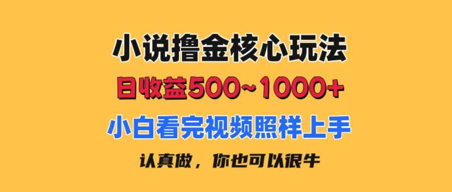 小说撸金核心玩法，日收益500-1000+，小白看完照样上手，0成本有手就行网创吧-网创项目资源站-副业项目-创业项目-搞钱项目恒杨云站