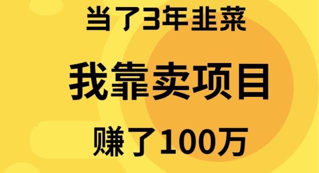 当了3年韭菜，我靠卖项目赚了100万网创吧-网创项目资源站-副业项目-创业项目-搞钱项目恒杨云站