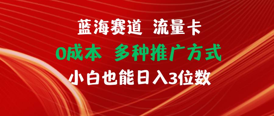 蓝海赛道 流量卡 0成本 小白也能日入三位数网创吧-网创项目资源站-副业项目-创业项目-搞钱项目恒杨云站