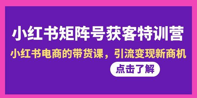 小红书-矩阵号获客特训营-第10期，小红书电商的带货课，引流变现新商机网创吧-网创项目资源站-副业项目-创业项目-搞钱项目恒杨云站
