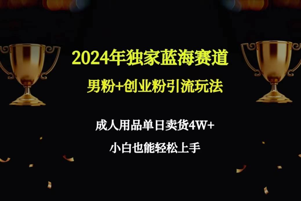 2024年独家蓝海赛道男粉+创业粉引流玩法，成人用品单日卖货4W+保姆教程网创吧-网创项目资源站-副业项目-创业项目-搞钱项目恒杨云站