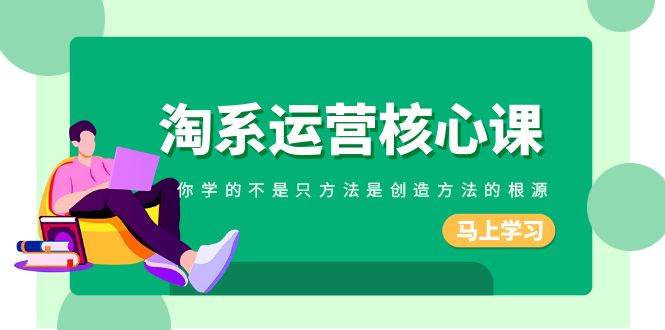 淘系-运营核心课，你学的不是只方法是创造方法的根源（190节课）网创吧-网创项目资源站-副业项目-创业项目-搞钱项目恒杨云站