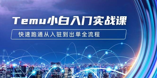 Temu小白入门实战课：跨境拼多多电商培训 快速跑通从入驻到出单全流程-12节网创吧-网创项目资源站-副业项目-创业项目-搞钱项目恒杨云站