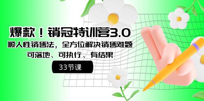 爆款！销冠特训营3.0之顺人性销售法，全方位解决销售难题、可落地、可执行、有结果网创吧-网创项目资源站-副业项目-创业项目-搞钱项目恒杨云站