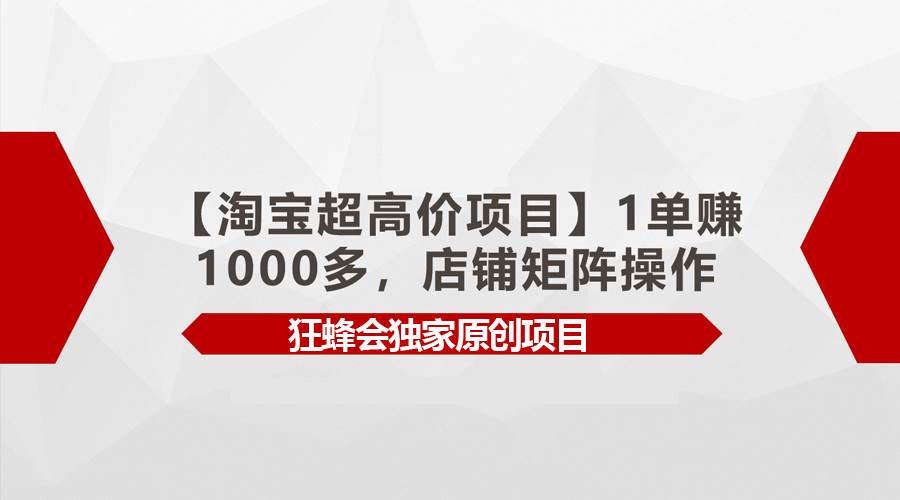 【淘宝超高价项目】1单赚1000多，店铺矩阵操作网创吧-网创项目资源站-副业项目-创业项目-搞钱项目恒杨云站