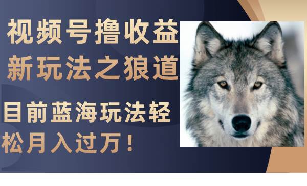 视频号撸收益新玩法之狼道，目前蓝海玩法轻松月入过万！网创吧-网创项目资源站-副业项目-创业项目-搞钱项目恒杨云站