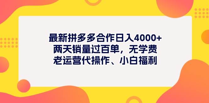 最新拼多多项目日入4000+两天销量过百单，无学费、老运营代操作、小白福利网创吧-网创项目资源站-副业项目-创业项目-搞钱项目恒杨云站