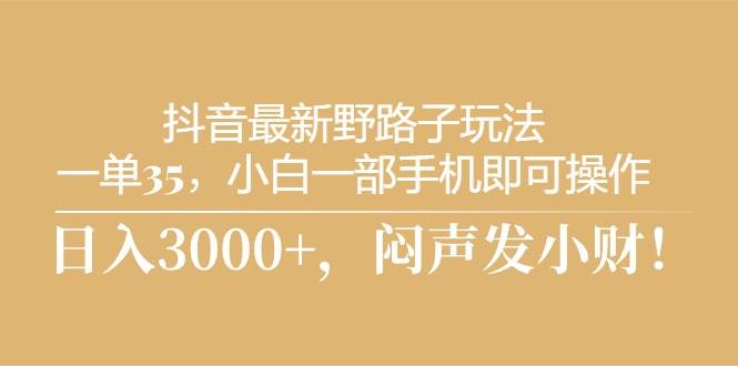 抖音最新野路子玩法，一单35，小白一部手机即可操作，，日入3000+，闷…网创吧-网创项目资源站-副业项目-创业项目-搞钱项目恒杨云站