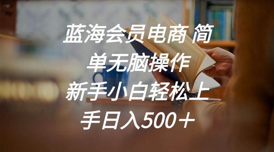 蓝海会员电商 简单无脑操作 新手小白轻松上手日入500＋网创吧-网创项目资源站-副业项目-创业项目-搞钱项目恒杨云站