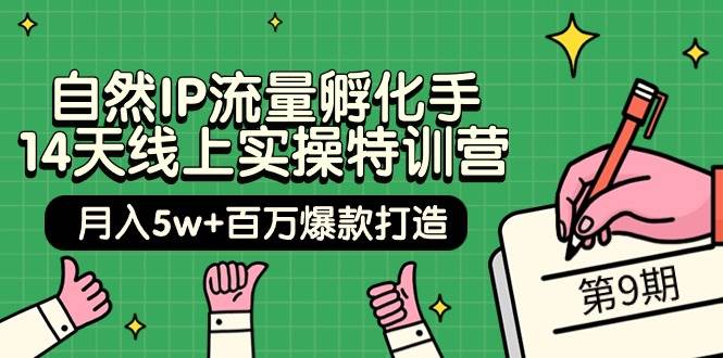 自然IP流量孵化手 14天线上实操特训营【第9期】月入5w+百万爆款打造 (74节)网创吧-网创项目资源站-副业项目-创业项目-搞钱项目恒杨云站