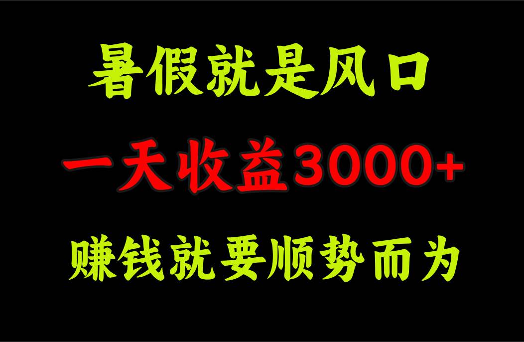 一天收益3000+ 赚钱就是顺势而为，暑假就是风口网创吧-网创项目资源站-副业项目-创业项目-搞钱项目恒杨云站
