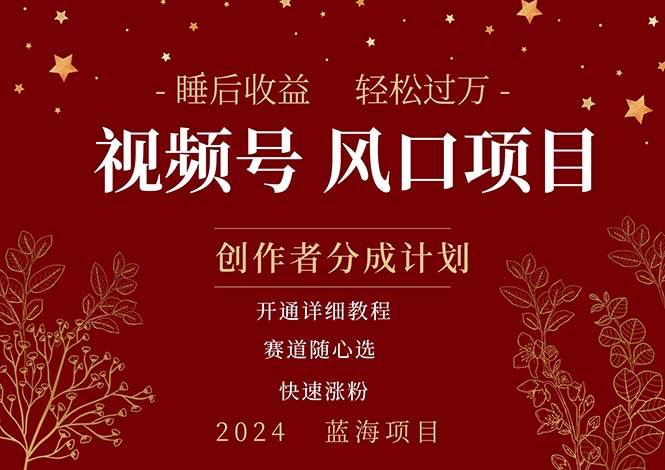 拥有睡眠收益的微信视频号大风口项目，轻松月入过万+，多赛道选择，可…网创吧-网创项目资源站-副业项目-创业项目-搞钱项目恒杨云站