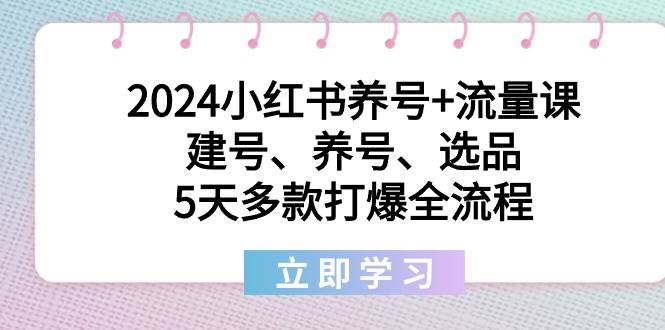 2024小红书养号+流量课：建号、养号、选品，5天多款打爆全流程网创吧-网创项目资源站-副业项目-创业项目-搞钱项目恒杨云站