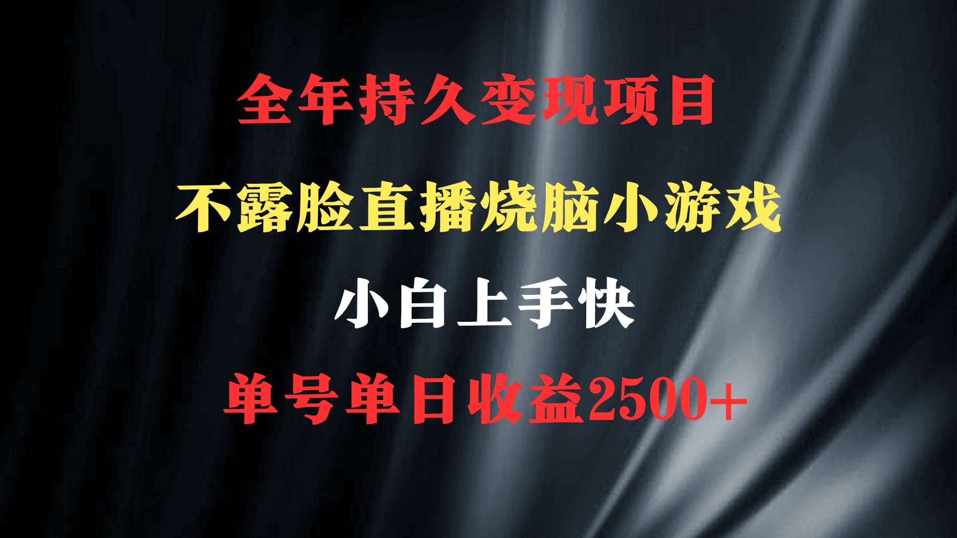 2024年 最优项目，烧脑小游戏不露脸直播  小白上手快 无门槛 一天收益2500+网创吧-网创项目资源站-副业项目-创业项目-搞钱项目恒杨云站