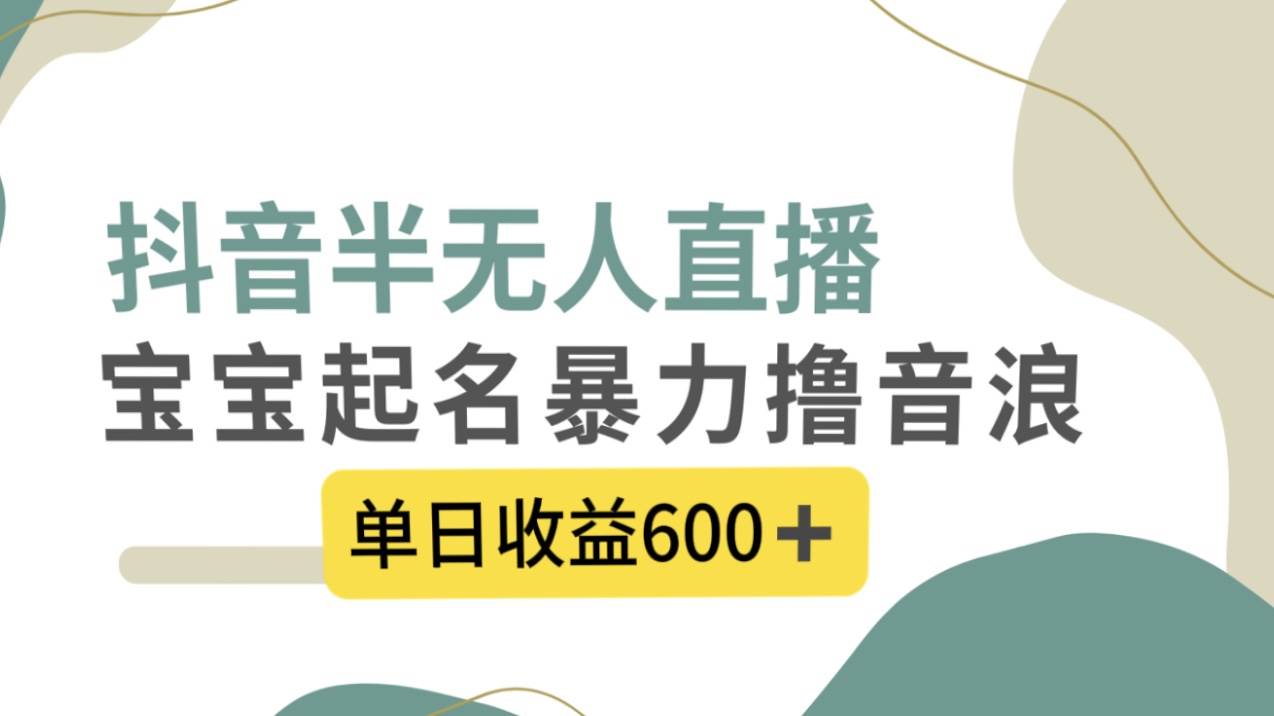 抖音半无人直播，宝宝起名，暴力撸音浪，单日收益600+网创吧-网创项目资源站-副业项目-创业项目-搞钱项目恒杨云站
