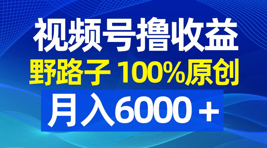 视频号野路子撸收益，100%原创，条条爆款，月入6000＋网创吧-网创项目资源站-副业项目-创业项目-搞钱项目恒杨云站