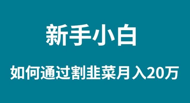新手小白如何通过割韭菜月入 20W网创吧-网创项目资源站-副业项目-创业项目-搞钱项目恒杨云站
