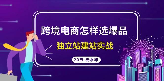 跨境电商怎样选爆品，独立站建站实战（20节高清无水印课）网创吧-网创项目资源站-副业项目-创业项目-搞钱项目恒杨云站
