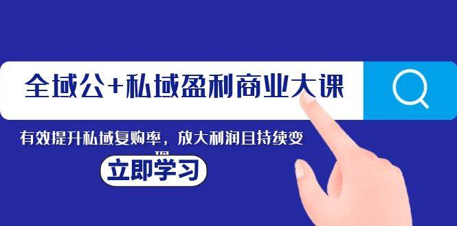 全域公+私域盈利商业大课，有效提升私域复购率，放大利润且持续变现网创吧-网创项目资源站-副业项目-创业项目-搞钱项目恒杨云站