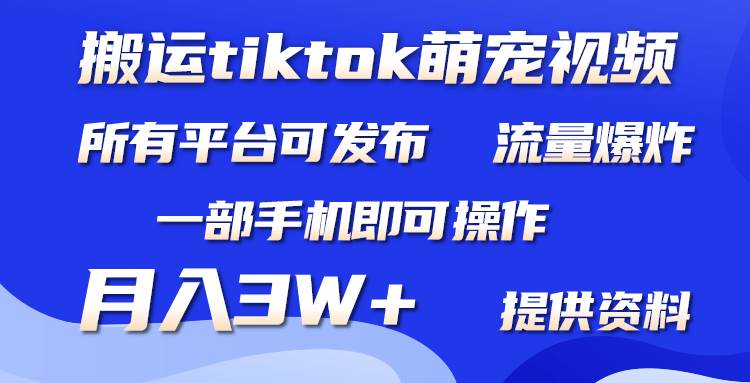 搬运Tiktok萌宠类视频，一部手机即可。所有短视频平台均可操作，月入3W+网创吧-网创项目资源站-副业项目-创业项目-搞钱项目恒杨云站