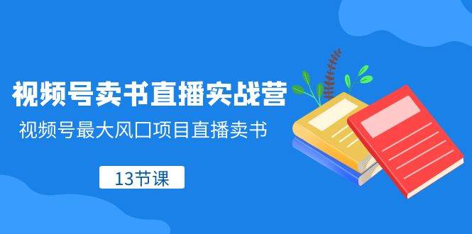 视频号-卖书直播实战营，视频号最大风囗项目直播卖书（13节课）网创吧-网创项目资源站-副业项目-创业项目-搞钱项目恒杨云站