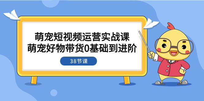 萌宠·短视频运营实战课：萌宠好物带货0基础到进阶（38节课）网创吧-网创项目资源站-副业项目-创业项目-搞钱项目恒杨云站
