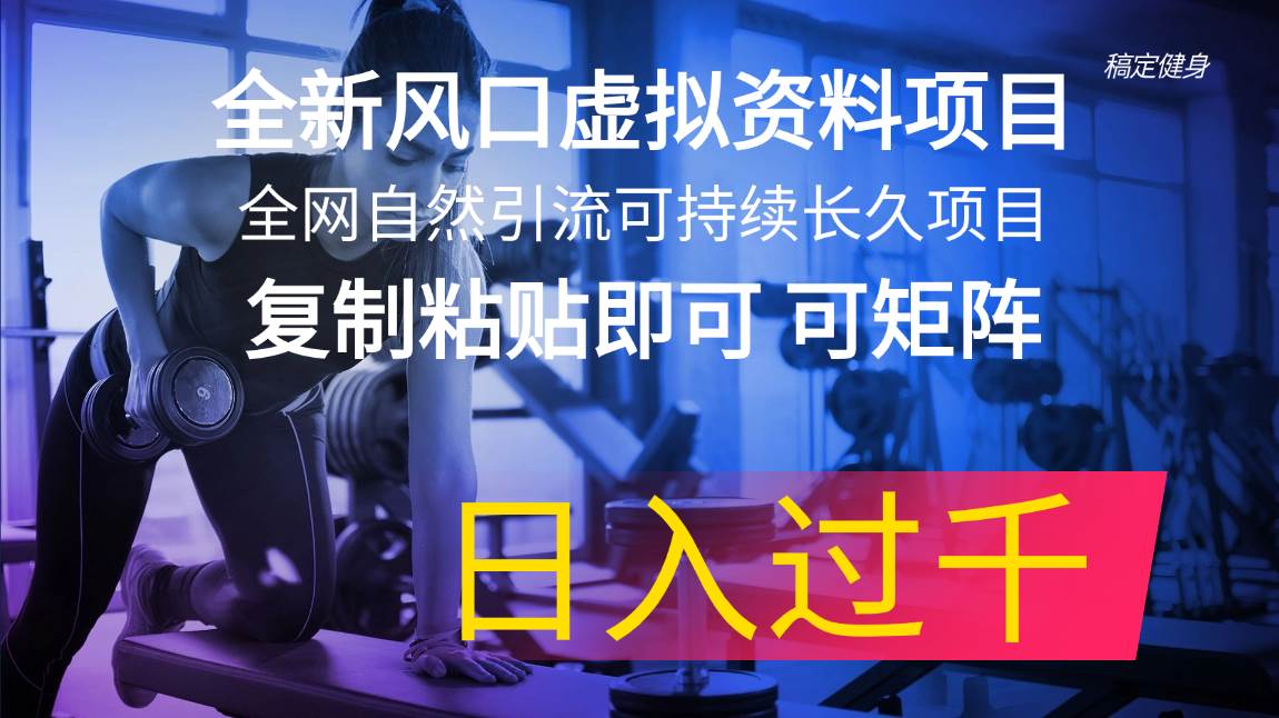 全新风口虚拟资料项目 全网自然引流可持续长久项目 复制粘贴即可可矩阵…网创吧-网创项目资源站-副业项目-创业项目-搞钱项目恒杨云站