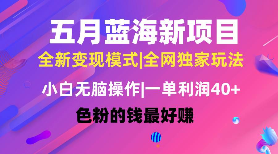 五月蓝海项目全新玩法，小白无脑操作，一天几分钟，矩阵操作，月入4万+网创吧-网创项目资源站-副业项目-创业项目-搞钱项目恒杨云站