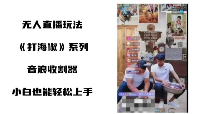 打海椒无人直播整蛊项目，小白轻松上手撸音浪收割器（教程+工具+素材）网创吧-网创项目资源站-副业项目-创业项目-搞钱项目恒杨云站