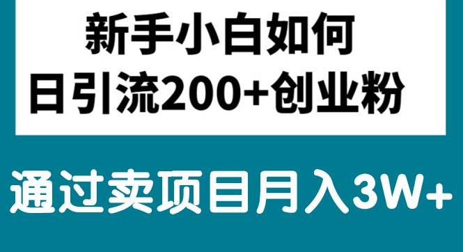 新手小白日引流200+创业粉,通过卖项目月入3W+网创吧-网创项目资源站-副业项目-创业项目-搞钱项目恒杨云站