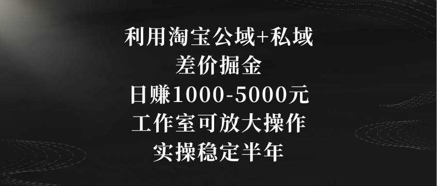 利用淘宝公域+私域差价掘金，日赚1000-5000元，工作室可放大操作，实操…网创吧-网创项目资源站-副业项目-创业项目-搞钱项目恒杨云站