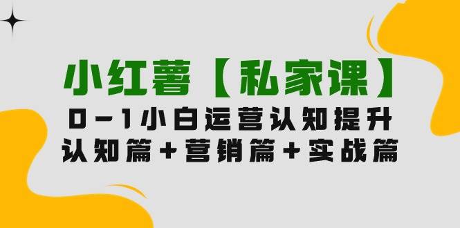 小红薯【私家课】0-1玩赚小红书内容营销，认知篇+营销篇+实战篇（11节课）网创吧-网创项目资源站-副业项目-创业项目-搞钱项目恒杨云站