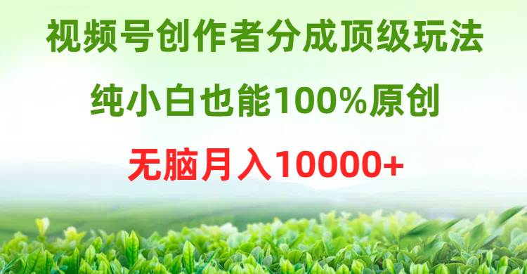 视频号创作者分成顶级玩法，纯小白也能100%原创，无脑月入10000+网创吧-网创项目资源站-副业项目-创业项目-搞钱项目恒杨云站