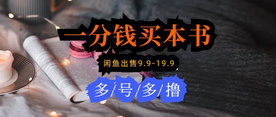 每天花1分钱买一本书，闲鱼出售9.9-19.9不等，多账号多撸 新手小白均可操作网创吧-网创项目资源站-副业项目-创业项目-搞钱项目恒杨云站