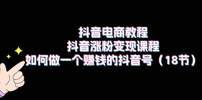 抖音电商教程：抖音涨粉变现课程：如何做一个赚钱的抖音号（18节）网创吧-网创项目资源站-副业项目-创业项目-搞钱项目恒杨云站