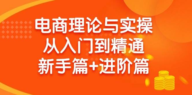 电商理论与实操从入门到精通 新手篇+进阶篇网创吧-网创项目资源站-副业项目-创业项目-搞钱项目恒杨云站