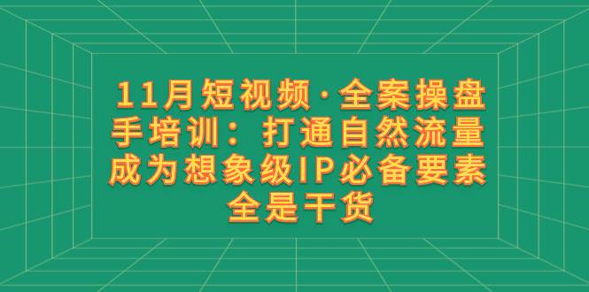 11月短视频·全案操盘手培训：打通自然流量 成为想象级IP必备要素 全是干货网创吧-网创项目资源站-副业项目-创业项目-搞钱项目恒杨云站